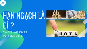 Han Ngach QUOTA La Gi