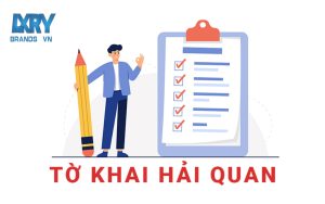 Tờ Khai Hải Quan - Cách Nhận Diện Thông Tin Trên Tờ Khai Hải Quan to khai