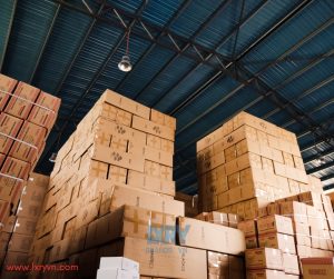 Phát triển của Big Data Analytics trong vận tải logistics