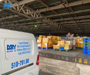 Luxury Express - Dịch Vụ Vận Chuyển Hàng Hóa Quốc Tế