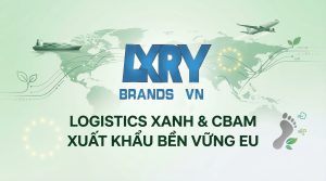 OCR Content Recap LRY 202603182030