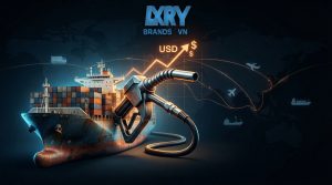 OCR Content Recap LRY 202603251449